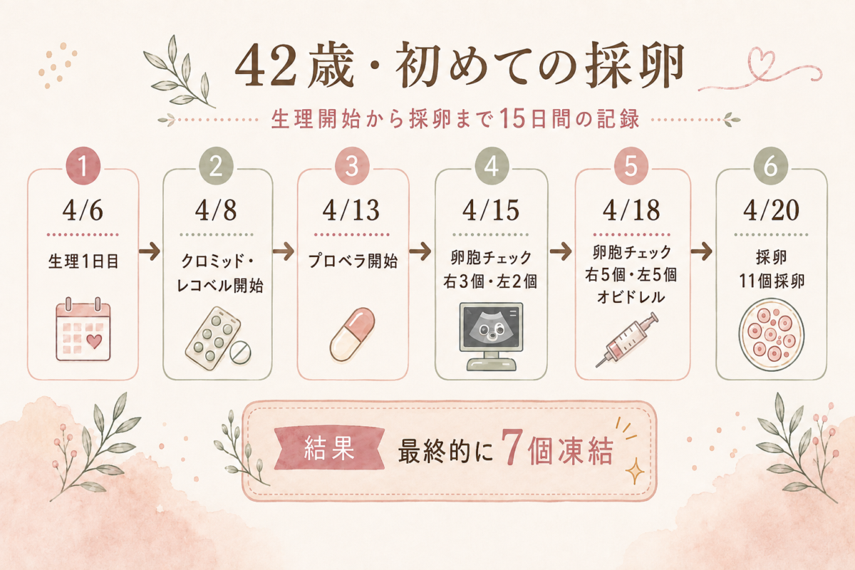 42歳で初めて採卵したときのスケジュール