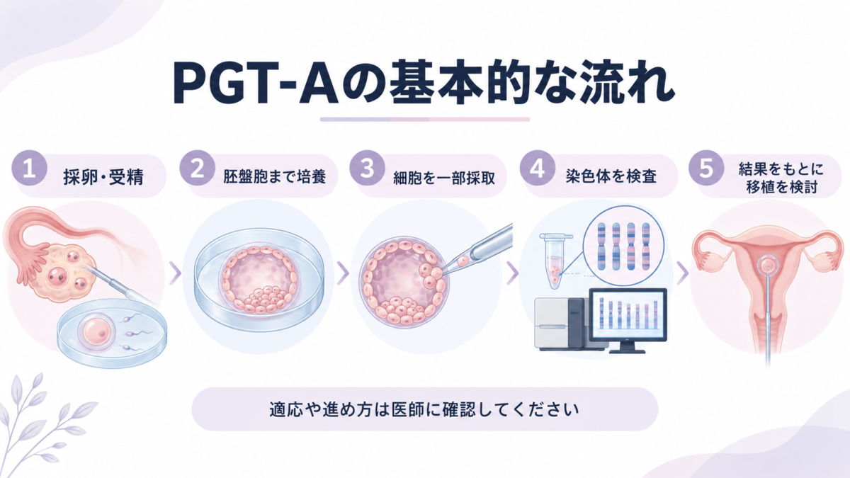 採卵・受精から胚盤胞培養、細胞採取、染色体検査、移植検討までのPGT-Aの流れ