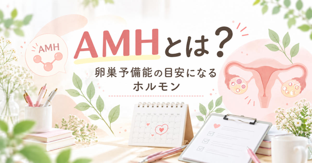 AMHとは何かを卵巣と卵胞のイラストで解説